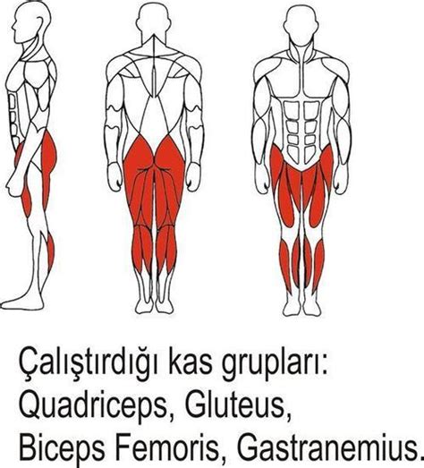 Hangi Spor Hangi Kas Gruplarını Çalıştırır?