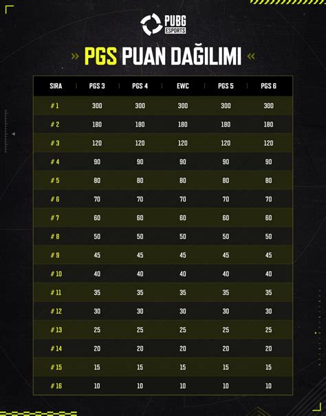 Turnuva Puan Sistemi